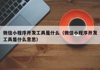 微信小程序开发工具是什么（微信小程序开发工具是什么意思）