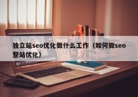 独立站seo优化做什么工作（如何做seo整站优化）